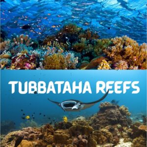 Deep Beneath the Philippines Lies a “Living Treasure”—Tubbataha Reef Is So Spectacular, UNESCO Had to Protect It! Divers call it Earth’s last paradise: untouched coral, rare marine life, and colors too wild to imagine.