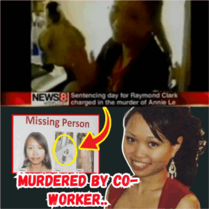 The Bride Who Never Made It To Her Wedding :From Ivy League Dreams to Tragedy, Cold True Crime Story