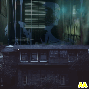 What Lives in the Woods Behind My House