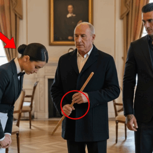 Shy Waitress Greeted Mafia Boss’s Sicilian Dad—Her Sicilian Dialect Greeting Had Every Guest Frozen