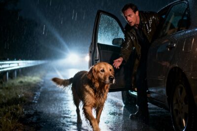 I FOUND A LOST DOG IN THE RAIN. I DROVE TO THE ADDRESS ON HIS TAG. AN OLDER WOMAN OPENED THE DOOR AND SAID: “YOU FOUND HIM AGAIN”. I’D NEVER BEEN THERE BEFORE. BUT INSIDE HER HOUSE WAS A PHOTO OF ME AS A CHILD, HOLDING THAT SAME DOG.