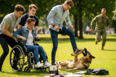 Rich kids bullied a woman in wheelchair and kicked her dog – until a navy SEAL stepped in