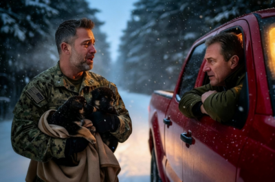 “Hop in, son. No one survives alone,” the veteran said — the SEAL and his puppies wept in the snow.