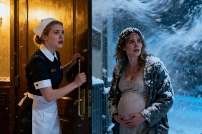 A maid let a poor pregnant woman in to wait out a snowstorm in a hotel. When the manager found out, he fired her in disgrace, but a few days later…