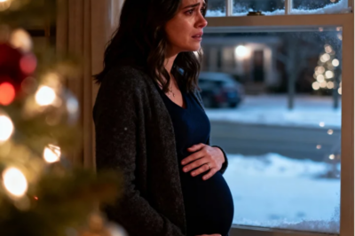 Millionaire Cancelled Pregnant Wife’s Flight Home for Christmas His Private Jet Crash With Mistress