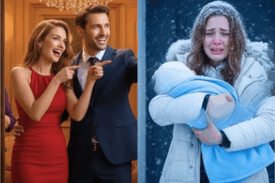 Unaware His Wife Had Just Inherited a Billion Dollar Fortune, Her In Laws and Mistress Turned Agains