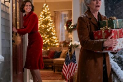 My mother texted me by accident after I drove 4 hours to see her: “what a clown. She actually showed up.” I waited until Christmas morning and sent her a link, asking: “since you wanted a ‘small’ Christmas, do you still need this ‘large’ house?” thirty seconds later, my phone exploded…